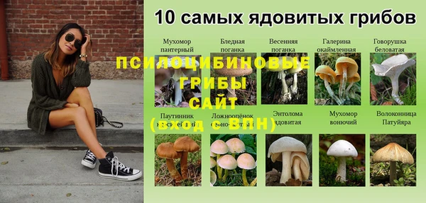 соль курить ск Бугульма