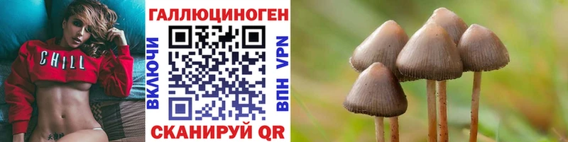 Галлюциногенные грибы Psilocybine cubensis  МЕГА зеркало  Королёв  где можно купить наркотик 